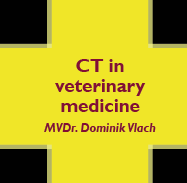 CT in veterinary medicine